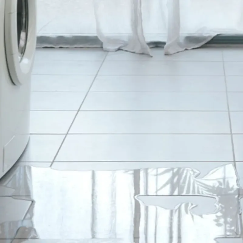 Appliance Leak Cleanup in White Center, WA