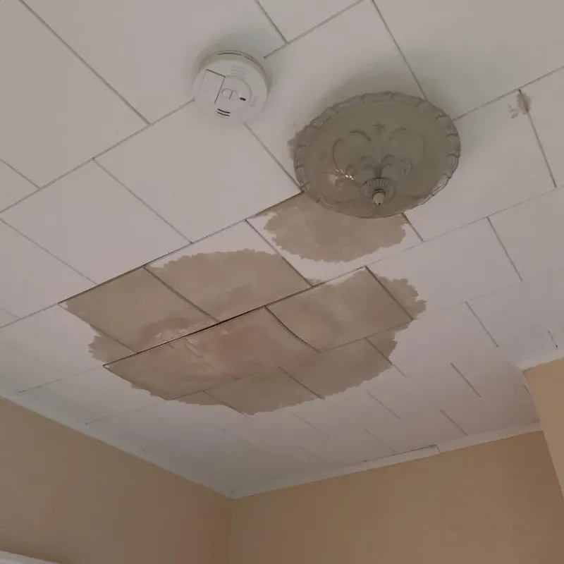Ceiling Water Damage Repair in White Center, WA
