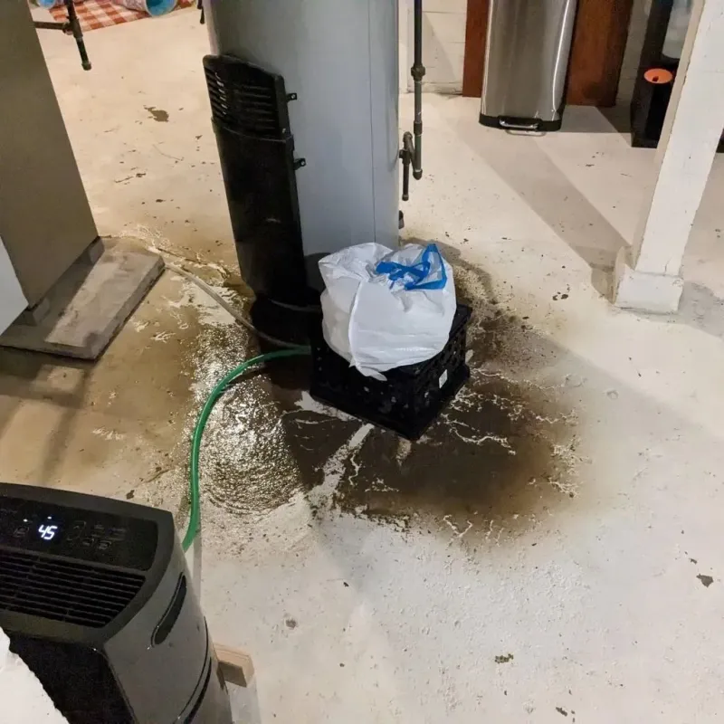 Sewage Backup Cleanup Service in White Center, WA